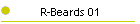 R-Beards 01