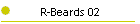 R-Beards 02