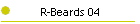 R-Beards 04