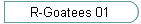 R-Goatees 01